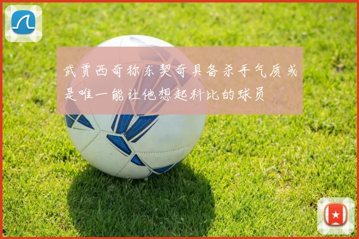 武贾西奇称东契奇具备杀手气质或是唯一能让他想起科比的球员