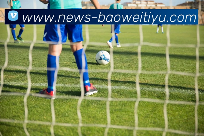 宝威体育APP 封面图