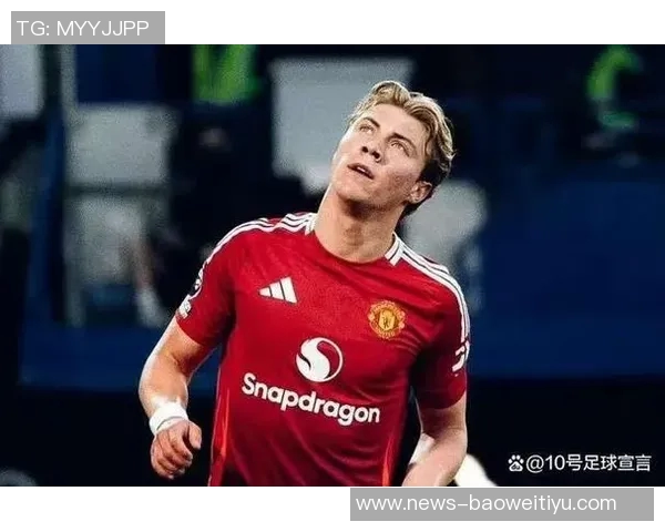 约克称舍什科潜力更大视为霍伊伦的升级版